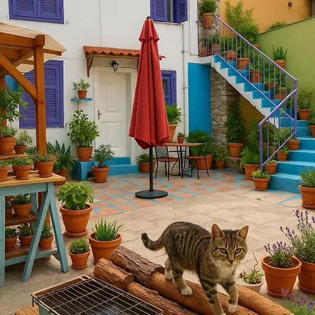 Ottoman House Apartment